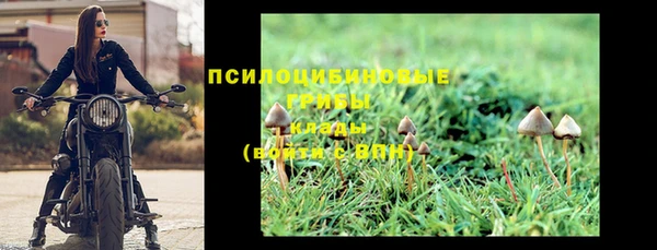 крисы Нея